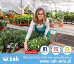 florysta Żak
