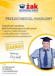przedstawiciel handlowy