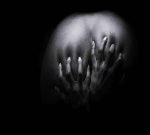 Sesja aktu Tomasz Pawlak Fotograf Łódź